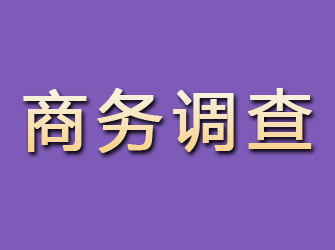 扎囊商务调查